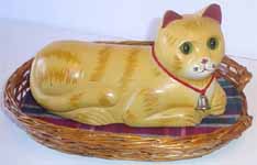 yellow cat