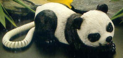 panda