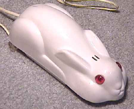rabbit